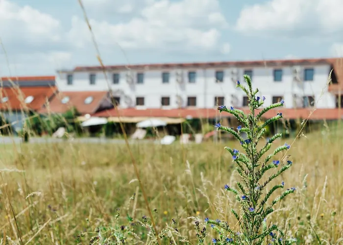 Maroli Hotel 3*